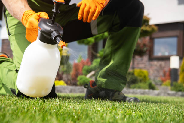 Best Affordable Pest Control Services  in Whispering Pines, NC