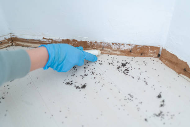 Best Exterminator Services  in Whispering Pines, NC